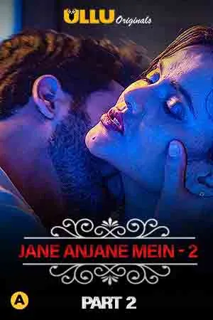 TV series poster: Jane Anjane Mein 2