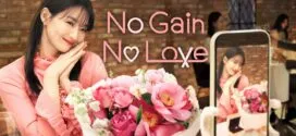 No Gain No Love