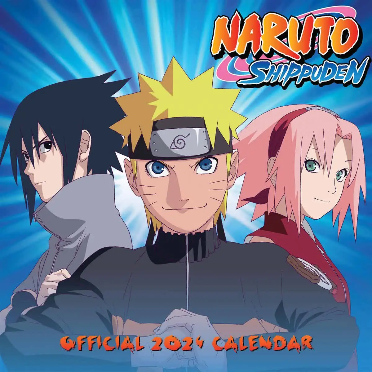 Movie Poster: Naruto: Shippuden