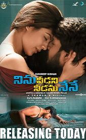 Ninu Veedani Needanu Nene