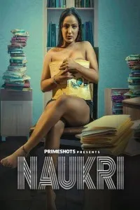 TV series poster: Naukri