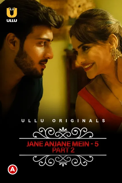 TV series poster: Jane Anjane Mein 5