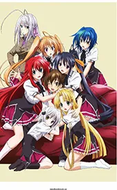 TV series poster: High School DxD（Season 3）