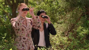 E13.Do You Always Talk to Turtles