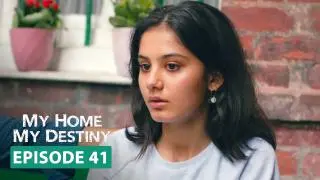 Episode 41