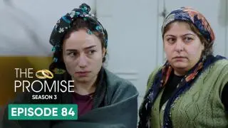 Episode 84