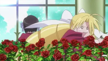 E4.Ladies vs. Virgin?