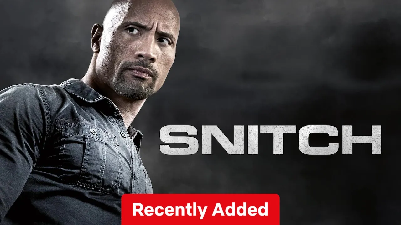 Movie Poster: Snitch