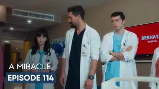 Episode 114