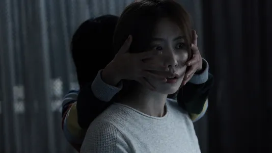 Movie Poster: Horror Stories 3