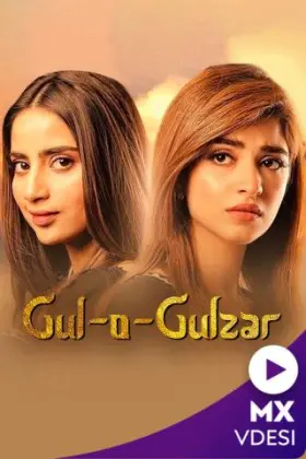 Gul o Gulzar - Web Serie complete free on Castle