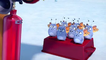 Super star polaire