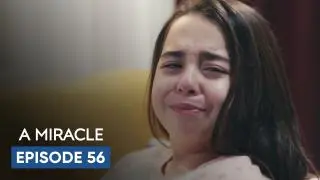 Episode 56