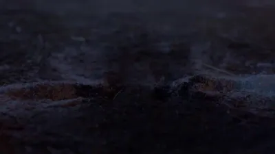 E71