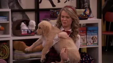 E11.Puppy Love