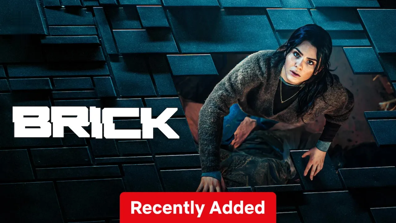 Movie Poster: Brick