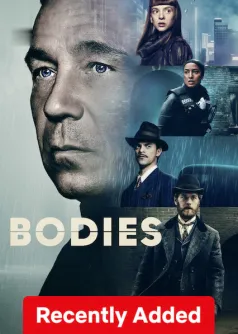 Bodies