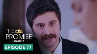 Episode 77