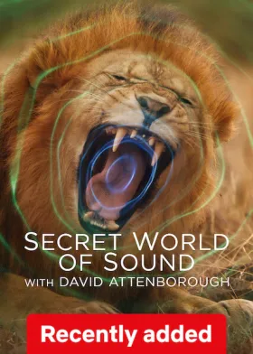 Secret World of Sound with David Attenborough - Web Serie complete free on Castle