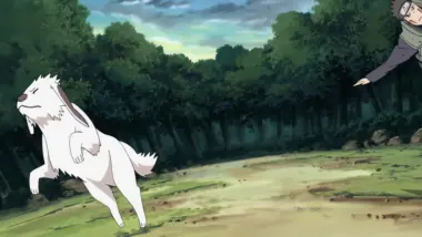 Episode 303