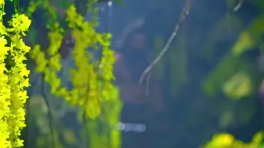 E314