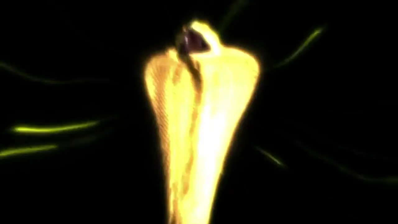 E66