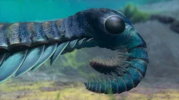 E2.Chapter 2: The First Frontier