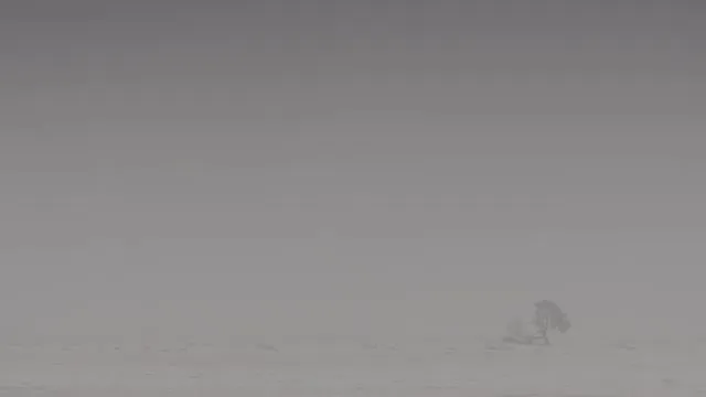 E3.Dust