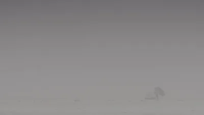 E3.Dust