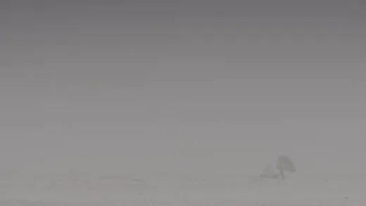 E3.Dust