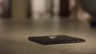 E17.Love Is in the Air