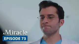 Episode 73
