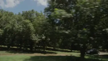 E1.Random Acts of Mayhem