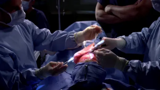 E18.Stand By Me
