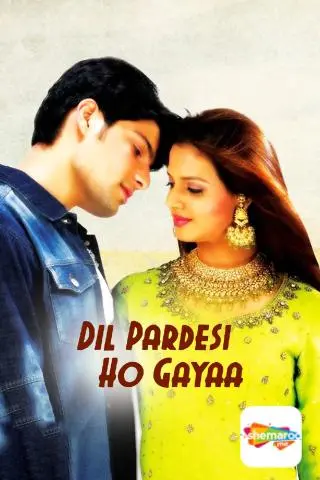 Movie Poster: Dil Pardesi Ho Gayaa