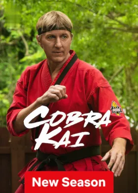 Cobra Kai - Web Serie complete free on Castle