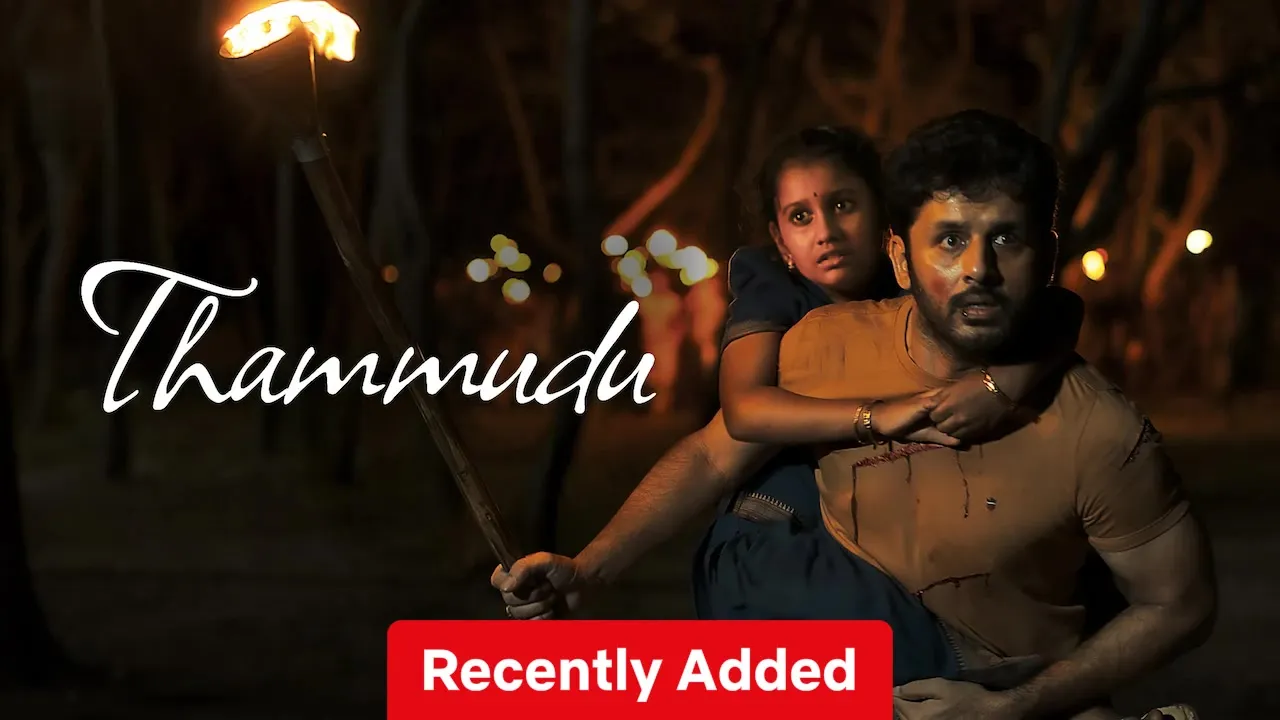 Movie Poster: Thammudu