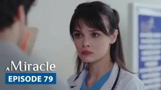 Episode 79