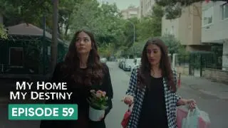 Episode 59