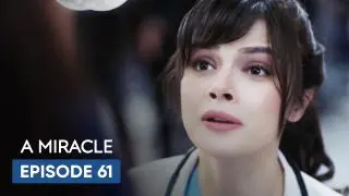 Episode 61