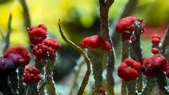 E3.Chapter 3: Invaders of the Land