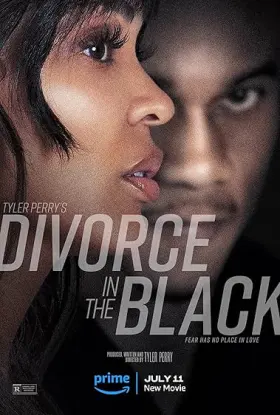 Tyler Perry's Divorce in the Black - Movie free on Castle