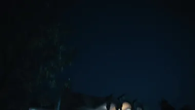 E236
