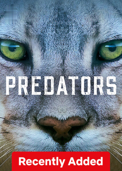 Predators