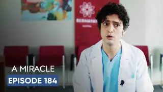 Episode 184