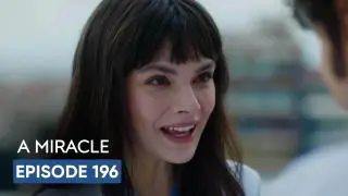 Episode 196