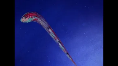 E1.The Hero's Journey