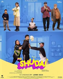 Mr Shudai