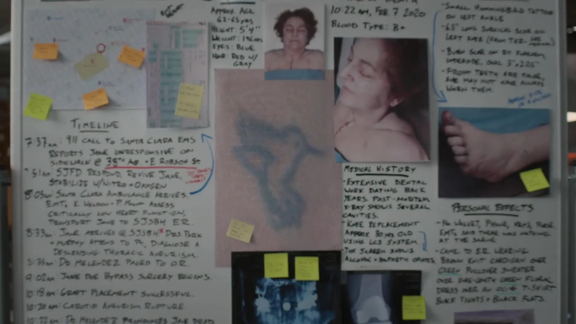 E16.Autopsy