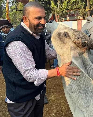 Ajay Mengi